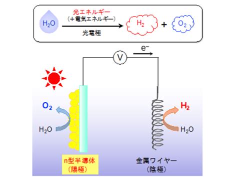 水分計 セル 太陽電池|太陽光で働く新しい水分解光電極を開発 電気エネルギーなしで .